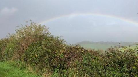 A full rainbow in misty skies over a valley with a tree-topped hill in the distance and a green hedgerow in the foreground