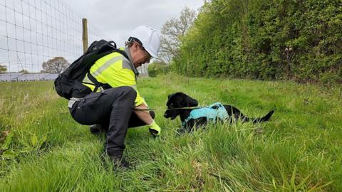 Leak detection dog handler Steph Barrett in a rural area with Tico, an eight-year-old black Labrador cross Cocker Spaniel. She is squatting next to the dog which is on a leash. It is a cloudy day.