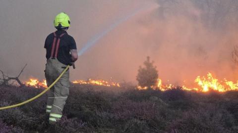 The back view of a firefighter wearing a yellow hard hat and holding a fire hose. He is pouring water towards a wildfire at Dunwich.