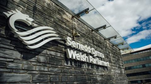 Senedd