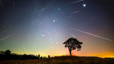 A meteor shower visible above a tree in the countryside