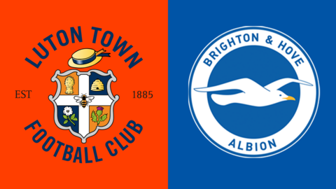 Luton vs Brighton graphic