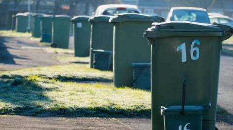 Green wheelie bins neatly lined up on the side of a residential street on a frosty but sunny morning, ready for collection. Some of them have white numbers on the side, and have a small back food waste caddy beside them. Cars can be seen travelling on the road behind the bins.