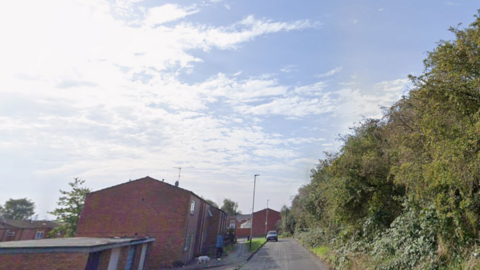 Houses on one side of the road, with trees on the other side of the road