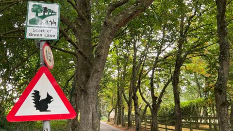 A road sign with a squirrel on it, with a small circular 15 mile per hour speed limit sign above it. There is a tree in the background.