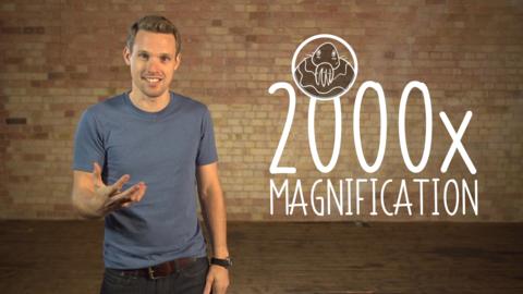 Greg Foot explains the main difference between light and electron microscopes.
