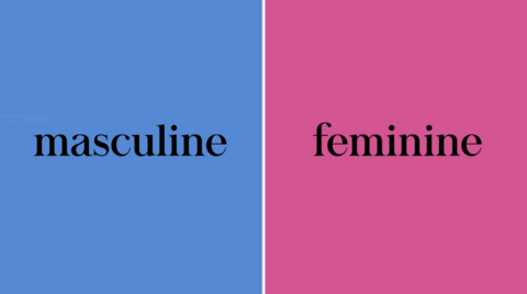 The gender of nouns in Spanish and masculine and feminine forms.
