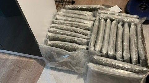 Multiple bags full of cannabis, wrapped in clear plastic, sitting on the laminated floor of a home