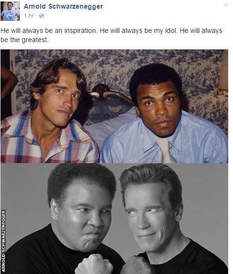 Arnold Schwarzenegger