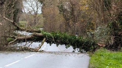 A fallen tree blocking Brading Down Road on the Isle of Wight. The tree is right across the road.