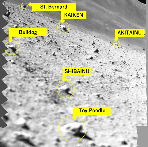 A lunar surface scan mosaic image captured by the Slim