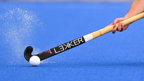 Hockey stick