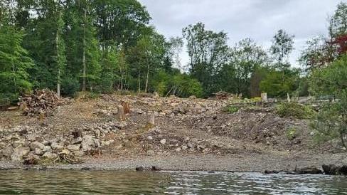 Image of several tree stumps on the shore of Windermere