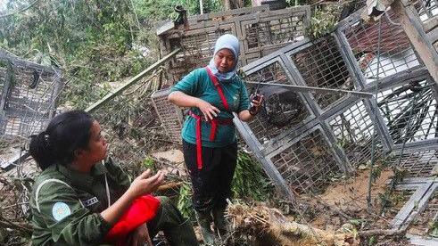 One woman is talking to another one who is sitting. They are surrounded by mangled metal enclosures. There are trees in the background. 