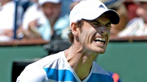 Andy Murray