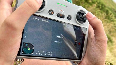 A zoomed in picture of someone holding a drone. The porpoises can be seen on the drone's screen.