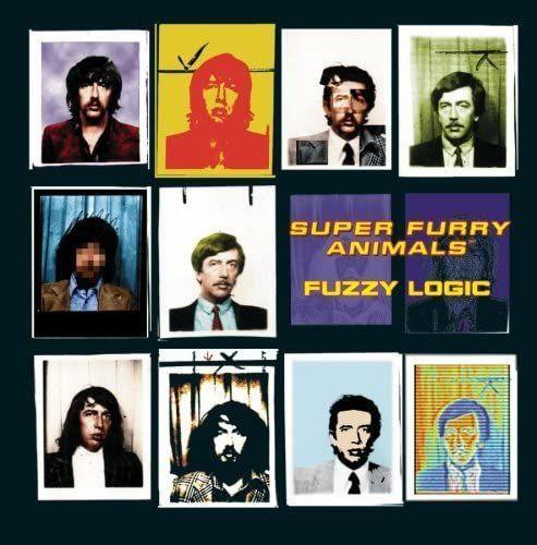 fuzzy logic