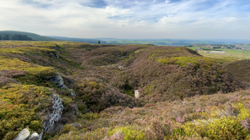 Harden moorland in Barnsley