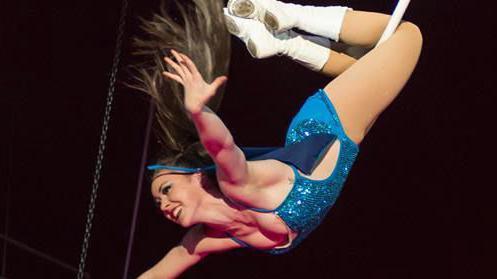 Mrs Herrin is pictured during an aerial stunt at the circus. Her legs rest over a white bar and her body hangs below with her arms stretched out.