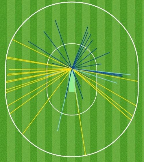 Hashim Amla wagon wheel