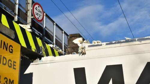 A close-up of a white lorry trapped under a railway bridge. The roof of the vehicle looks torn where it has struck a bright yellow and black dashed sign on the bridge.