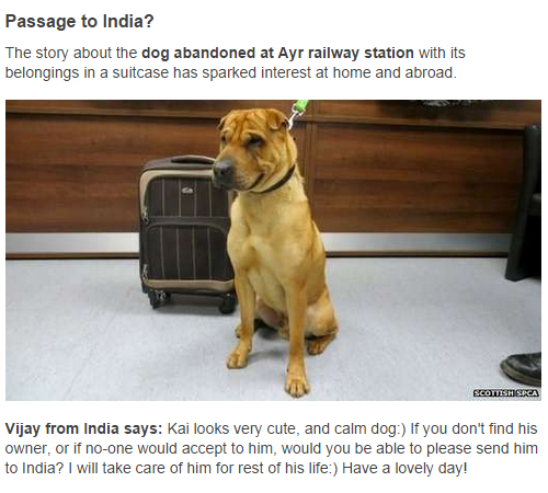 Message from Vijay in India offering to adopt Kai