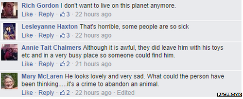 Comments on Facebook about Kai the abandoned dog