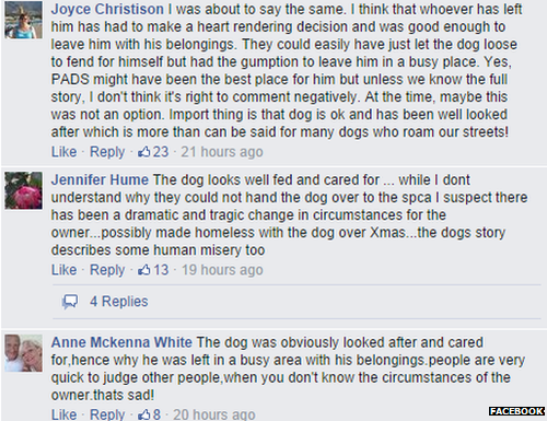 Comments on Facebook about Kai the abandoned dog
