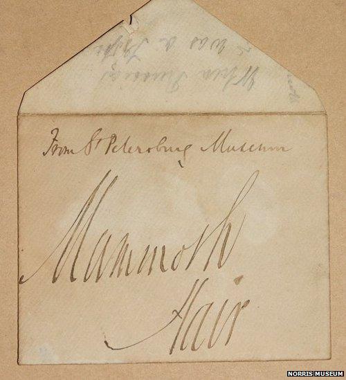 Envelope which contained mammoth hair