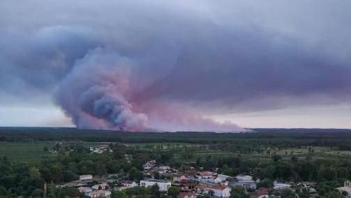 Smoke rising in the background during a wildfire in a forest area in France
