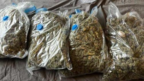 Four large clear bags of drugs seized during drugs raids by Wiltshire Police. It is believed to be cannabis.