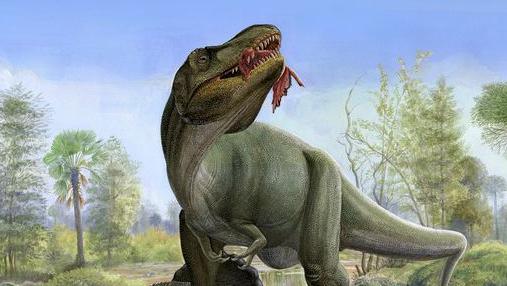An illustration of a Tyrannosaurus Rex eating meat.
