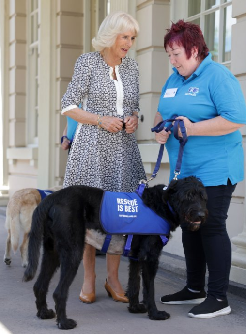 The Duchess of Cornwall speaks to volunteers at the home