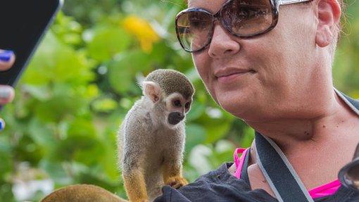 man taking selfie with monkey on shoulder