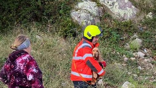 A firefighter wearing a yellow helmet and orange jacket holding a light brown cocker spaniel dog. The dog is looking towards the camera and has long ears. There is a woman wearing a pink and white jumper in the left-hand corner and is wearing a grey head band