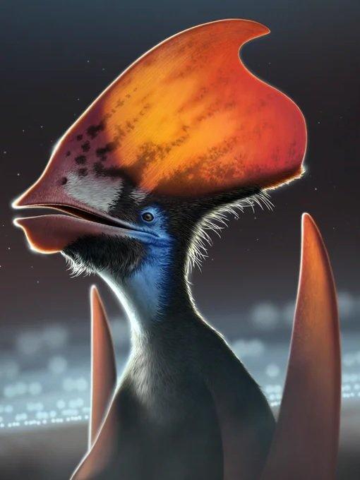 Artist impression of the head crest of Tupandactylus Imperator.