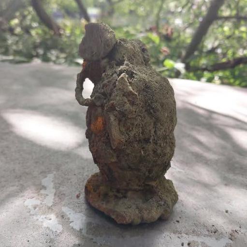 Grenade - described as looking like an elephant walking away - thought to be from WW2.