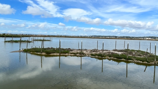 Brownsea Island