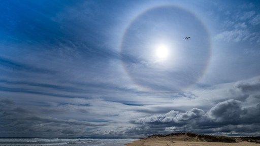 Halo encircling the sun