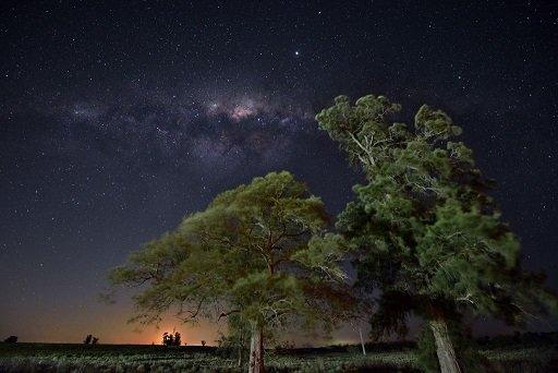 The Milky Way's Galactic Centre and Jupiter (brightest spot at centre) are seen from the countryside in Uruguay, as the moon sets behind distant trees