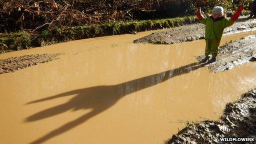 child looking at a giant puddle