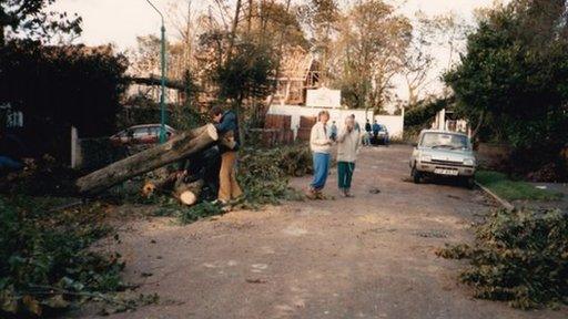 two women standing in the road while a man chainsaws