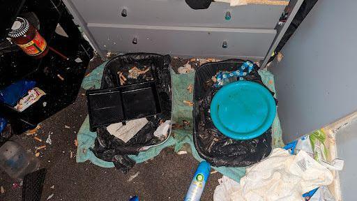 Two litter trays covered in rubbish on a carpeted floor