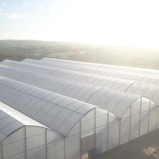 Growing Point Nursery aerial shot