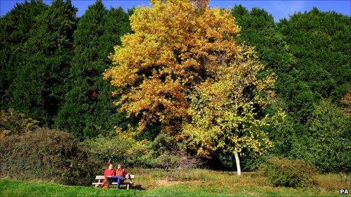 couple on woodland bench