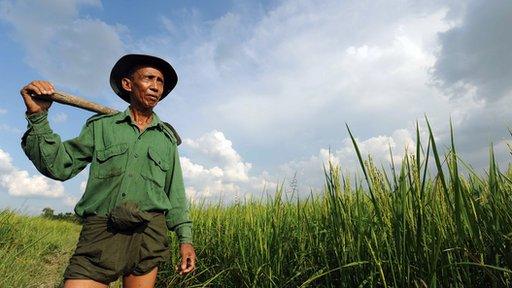 Burmese farmer U Thein Hlaing, 62, poses for pictures in his paddy field on the outskirts of Yangon