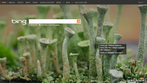 Bing screenshot