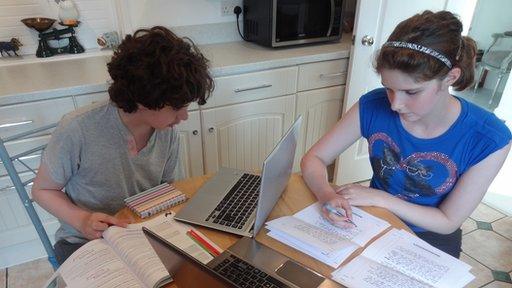 Alex and Lin Lonnecker in Swindon, Wiltshire, studying for their GCSEs at home