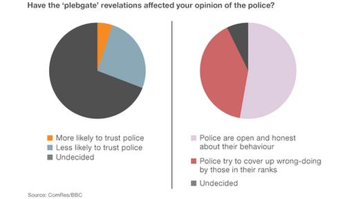 BBC poll pie-chart