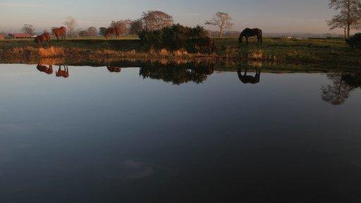 Lough Neagh